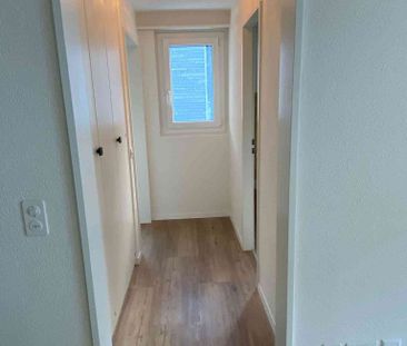 2.5 Zimmer, 50 m², 1. Stock - Foto 5