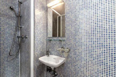Studio Flat, Gloucester St, SW1V - Photo 5