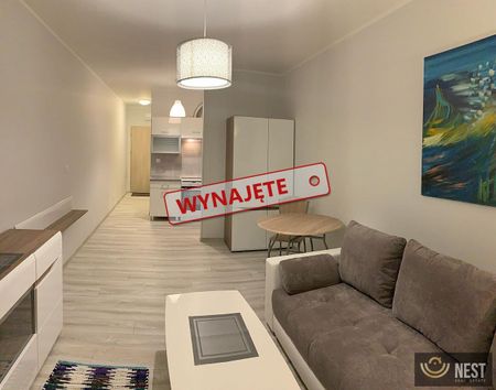 Kawalerka ul. Potulicka - Zdjęcie 2