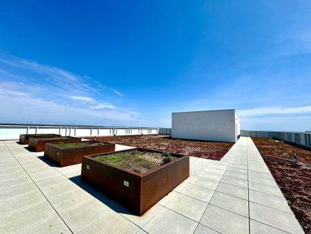 For Lease - 652 Princess Street Unit# 733, Kingston, Ontario - Photo 3