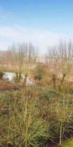 Woodford Mill, Witney, OX28 - Photo 3