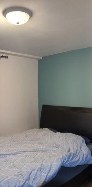 Très beau 4 1/2 rénové à proximité du Cégep de Limoilou. - Photo 1