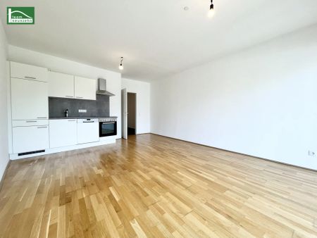 Ungergasse: Sonnige Mietwohnung mit Parkblick wartet auf Sie! - Photo 3