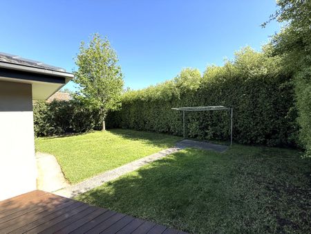 Newly Renovated Comfortable Family Home - Photo 5