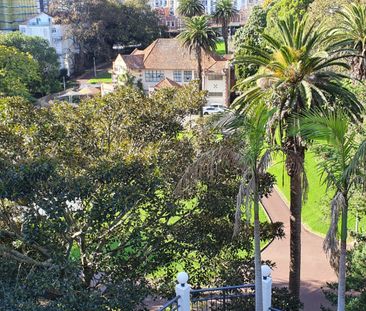 Affordable Studio - Secure Corner Apt - Photo 6