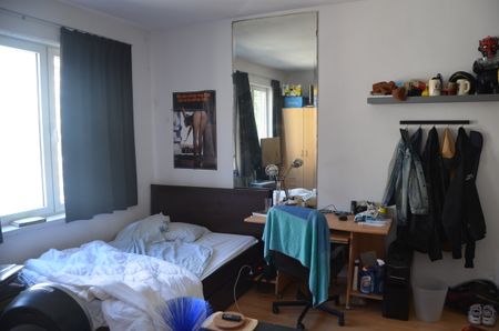 kamer 3 - Hector Van Wit­ten­berg­hes­traat 51 - Photo 2