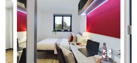 Room in a Shared Flat, Fletchamstead Highway, CV4 - Photo 4