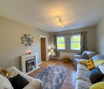 20 Birch Hill Meadows, Antrim, BT41 2TY - Photo 4