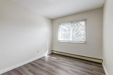 1 Bedroom - Photo 4