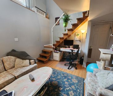 226 Wilbrod Street - Photo 3