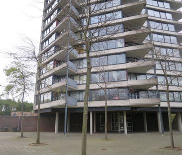 Rietveld Schröderpad 49 - Foto 3
