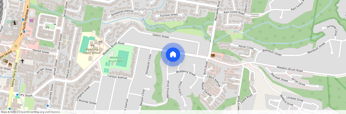 50 Japonica Drive, NSW 2250, Wyoming