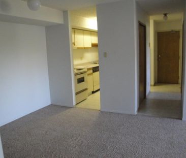 2 Bedroom Apartments – Lake Pointe Condos - Photo 6