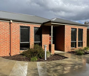 4/17 Barrell Street Eaglehawk VIC - Photo 3