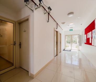 Standard Studio - Photo 2