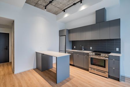 Rue St-Hubert, H2Y 0B9, Montréal - Photo 4