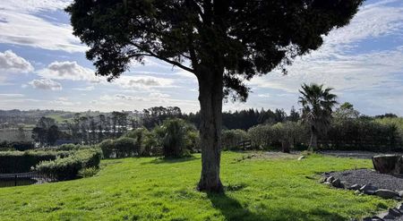 Charming 4BR lifestyle Home w/ Courtyard & Deck - Photo 2