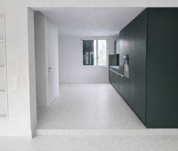 Erstvermietung 4.5 Zimmer-Doppeleinfamilienhaus mit Garten - Photo 3