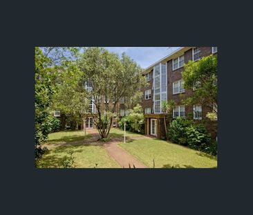 Sunny, Spacious Apartment in Quiet Killara Setting - Photo 3