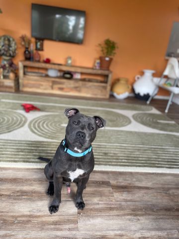 Patterson Lakes - Photo 2