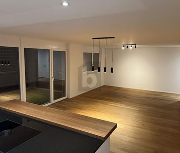 GREEN OASIS WITH LOTS OF EQUIPMENT - Photo 3