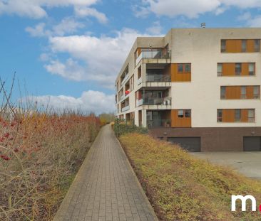 Stijlvol appartement te huur aan de Leie - Foto 4