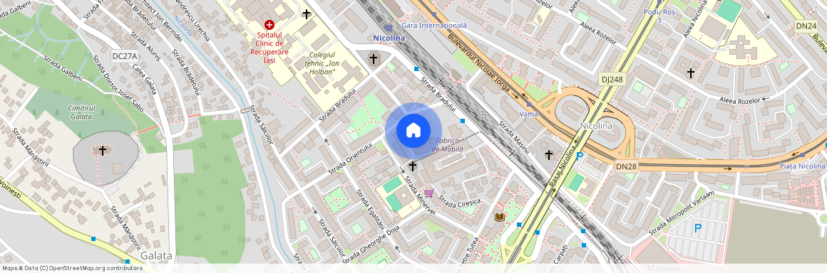 Nicolina 1, Iasi, Iasi