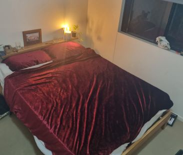 Parramatta Park - Photo 5