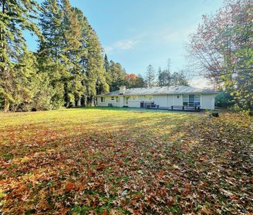 For Lease - 2417 Mississauga Road Unit# Basement, Mississauga, Ontario - Photo 3