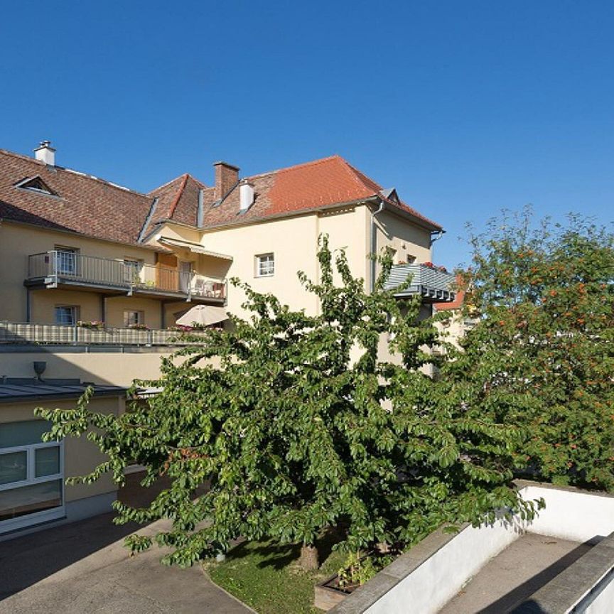 EGGENBURG XI - Photo 1