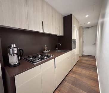 8 Central Park Ave, Chippendale NSW 2008 - Apartment For Rent | Domain - Photo 4