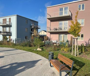 Ihr Platz im Grünen: Terrasse & Privatgarten - Wohnen wo Bernau am ... - Photo 1