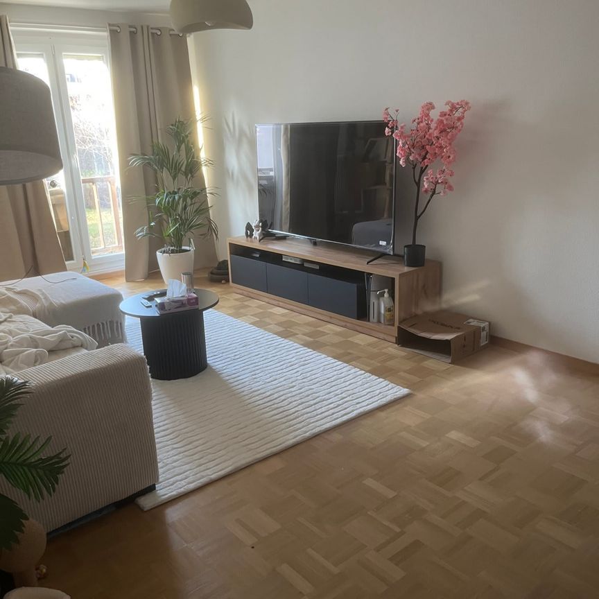 3 Zimmer, 52 m² - Foto 1