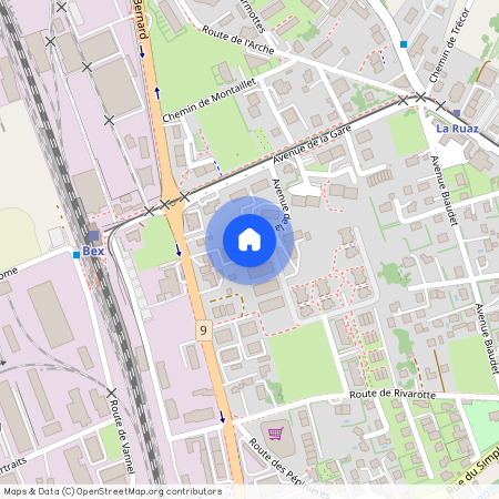 Chemin du Perruet 43, 1880 Bex