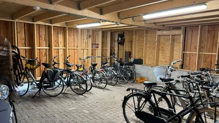 Te huur: Appartement Wilhelminastraat in Emmen - Foto 3