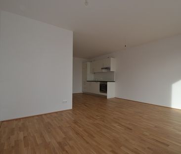 Annenviertel / Zentrum – 55 m² – großer Südbalkon – 2 Zimmer – Schl... - Photo 6