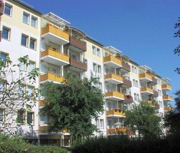 3-Raum-Wohnung in Citynähe - Photo 1