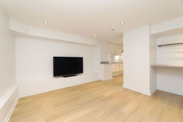 For Lease - 38 Shudell Avenue Unit# Lower, Toronto, Ontario - Photo 1