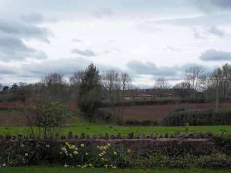 The Ashe, Bridstow, Ross-on-wye, HR9 - Photo 5