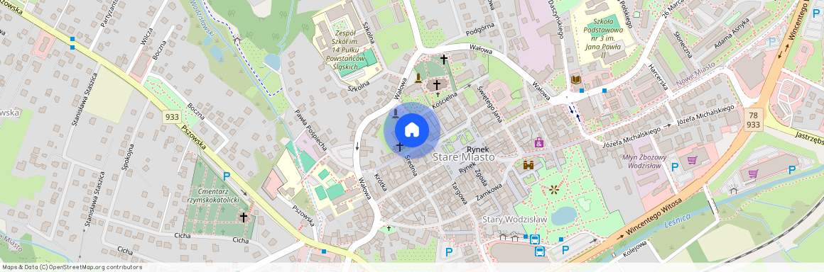 Wodzisław Śląski, wodzisławski, śląskie