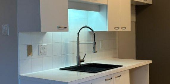 LÉVIS GRAND 4 1/2, STYLE CONDO, SECTEUR DESJARDINS * Disponible dès maintenant - Photo 2