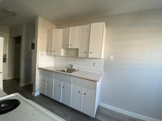 Style Manor - Photo 1