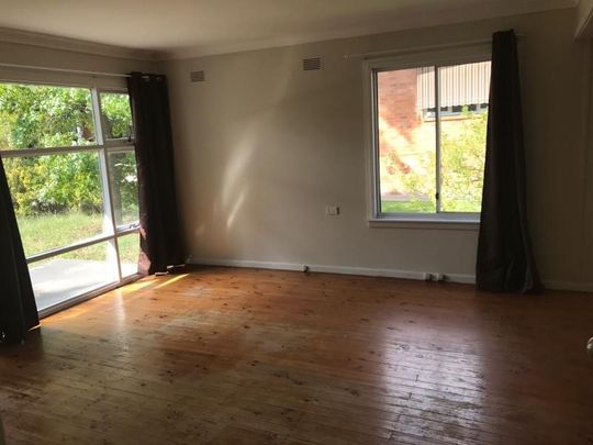 Cheap As Chips - Photo 1