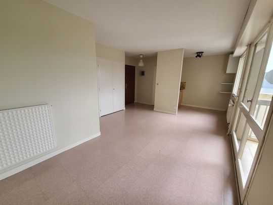 Location Appartement 1 pièce 28m² ANGERS 49000 - Photo 1