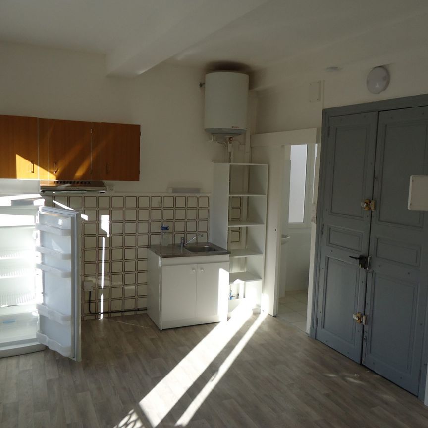 Location Appartement 1 pièce 18m² SOREDE 66690 - Photo 1