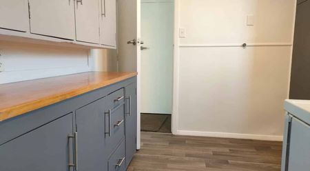 3 bedroom Unit in Bryndwr includes a gardener - Photo 3