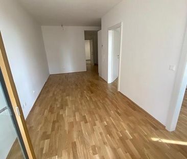 1100 Wien – Süd-Westblick – Neuwertige 2-Zimmer-Terrassenwohnung – ... - Photo 5