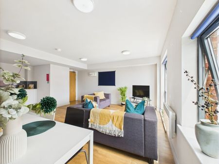 Room in a Shared Flat, Queensland Place, L7 - Photo 5