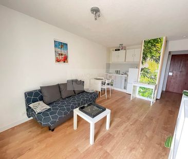 Location Appartement 1 pièce 23m² TOULOUSE 31400 - Photo 1