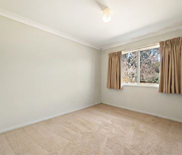 Beautiful Unit - Photo 5